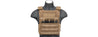 AC-591T Plate Carrier (Tan)