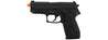 WE Tech F229R Series Gas Blowback GBB Airsoft Pistol (Black)